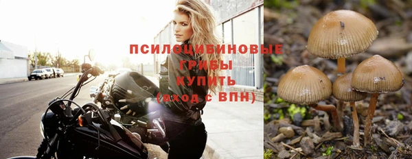 гашишное масло Богородицк