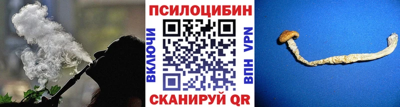 Псилоцибиновые грибы мицелий  kraken как зайти  Якутск  наркошоп 